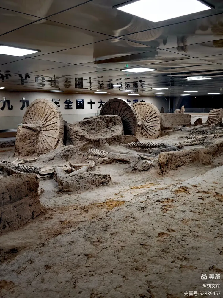 山东 淄博,古车博物馆,春秋殉车马坑遗址,2600年前,中国十大考古发现